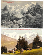 SUISSE - Mürrenbahn - Grütschalp - LOT DE 2 CARTES - Mönch - Und Jungfrau - (vaches En Alpages) - Mürren