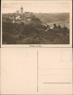 Ansichtskarte Bad Wimpfen Panorama-Ansicht Tal Blick 1925 - Bad Wimpfen
