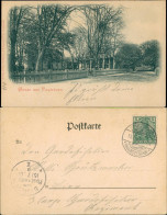 Ansichtskarte Grunewald-Berlin Straßenpartie Paulsborn 1900 - Grunewald