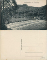 Ansichtskarte Rochsburg-Lunzenau Muldenwehr Bei Rochsburg, Ansicht 1910 - Lunzenau