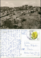 Göhren (Rügen) Stadtteilansicht Hang Mit Bungalows Bungalow-Siedlung 1978 - Göhren