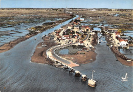 17-MARENNES- LA CAYENNE ET PARCS A HUITRES DEVANT MARENNES VUE DU CIEL - Marennes