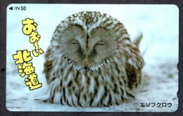 Japan 1V Owl Hokkaido New Mint Card - Hiboux & Chouettes