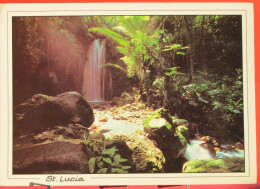 Antilles - Sainte Lucie - Diamond Falls - Soufriere - Santa Lucia