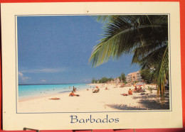 Antilles - Barbades - Beautiful Dover Beach - St. Lawrence Gap - Barbades
