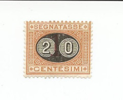 1890 Segnatasse Mascherina 20 Cent Su 1,00  N°18, Nuovo MNH Gomma Integra - Taxe