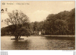 Tervuren - Tervueren - L'étang Dans Le Parc - Tervuren