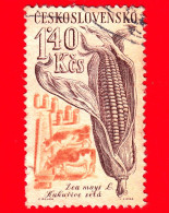 CECOSLOVACCHIA - Usato - 1961 - Coltivazioni Agricole - Mais E Bestiame - 1.40 - Gebraucht