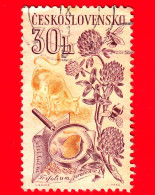 CECOSLOVACCHIA - Usato - 1961 - Coltivazioni Agricole - Trifoglio Dei Prati, Trifolium Pratense L. - 30 - Used Stamps