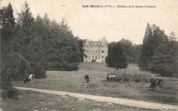 FRANCE - Bovel (I Et V) - Château De La Roche Cotherel - Vue De Loin Du Château - Carte Postale Ancienne - Redon