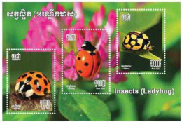 CAMBODGE / CAMBODIA - S/S Insects ( Ladybug ) 2023 - Cambodia