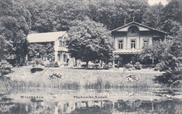 2525	3	Wiesbaden,   Fischzucht Anstalt (restaurant) (poststempel 1907) - Wiesbaden