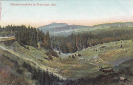 2525	63	Braunlage, Achtermannshöhe Bei Braunlage. - Braunlage