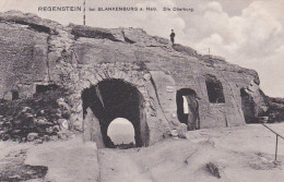 2525	68	Regenstein Bei Blankenburg Am Harz. Die Oberburg. - Blankenburg