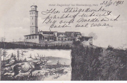 2525	69	Hotel Ziegenkopf Blankenburg Am Harz. (1913) - Blankenburg