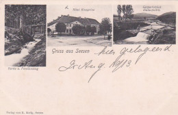 2525	191	Gruss Aus Seesen 1913. - Seesen