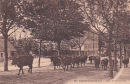 2525	193	St Andreasberg I Harz, Schützenstrasse.  - St. Andreasberg