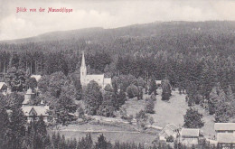 2525	202	Blick Von Der Mauseklippe.  - Schierke