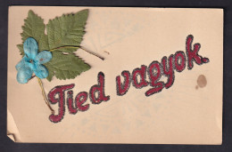 Tied Vagyok - Postcard With Hand Made Details / Visible Damage / Postcard Not Circulated, 2 Scans - Autres & Non Classés