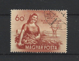 Hungary 1954 Agriculture Y.T. 1126  (0) - Usati