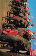 THAILAND - Shoxing The Ancient Time Elephants In The War - At Surin Province In Thailand  - Carte Postale - Thaïlande