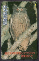 Japan 1V Owl Hokkaido Shimbun Press Used Card - Gufi E Civette