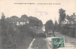 CPA 28 CHATEAUNEUF EN THYMERAIS / LE GRAND NOE ET ROUTE DE VERNEUIL - Other & Unclassified