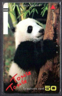 Japan 1V Panda "Tong Tong" Tokyo Zoological Park Society Used Card - Giungla
