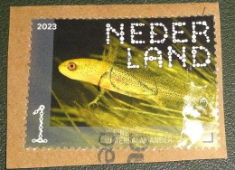 Nederland - NVPH - Xxxx - 2023 - Gebruikt Onafgeweekt- Used On Paper - Beleef De Natuur - Kleine Watersalamander - Used Stamps