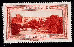 12963 ● TIDJIKDJA MAURITANIE Vignette De Collection LA BELLE FRANCE 1925s H-V Erinnophilie - Turismo (Vignette)