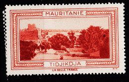 12963 ● TIDJIKDJA MAURITANIE Vignette De Collection LA BELLE FRANCE 1925s H-V Erinnophilie - Tourism (Labels)
