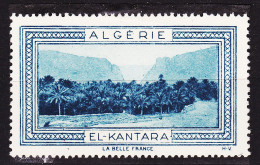 12964 / ⭐ ◉ EL-KANTARA ALGERIE Vignette De Collection LA BELLE FRANCE 1925s H-V Helio VAUGIRARD PARIS Erinnophilie - Turismo (Viñetas)