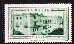 12996 ● TUNIS (1) TUNISIE Vignette De Collection LA BELLE FRANCE 1925s H-V Helio VAUGIRARD PARIS Erinnophilie - Tourisme (Vignettes)