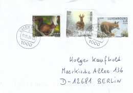 Luxembourg Luxemburg 2024 Red Fox Vulpes Vulpes Squirrel Sciurus Vulgaris Roe Deer Surtaxe Cover - Game