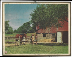 Almanach  Calendrier  P.T.T  -  La Poste -  1959 -  Cheval - Vive Les Vacances - Big : 1941-60