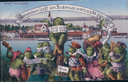 Romanshorn Am Bodensee, Choeur Et Orchestre De Grenouilles, Litho (14.7.1922) - Romanshorn