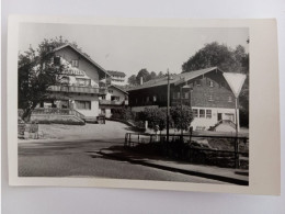 Bayerisch Eisenstein, Bäckerei Plankl, Foto-AK, 1964 - Regen