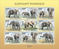 Togo  2023 African Elephant. (249f01) OFFICIAL ISSUE - Eléphants