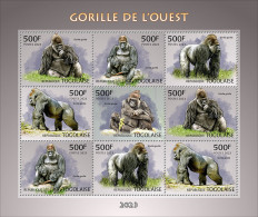 Togo  2023 Western Gorilla. (249f05) OFFICIAL ISSUE - Gorilas