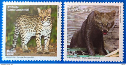 C 3217 Brazil Stamp Fauna Moorish Cat And Ocelot Feline 2012 Leopard - Unused Stamps