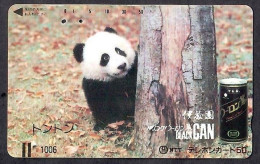 Japan 1V Panda  Isu  Garden "CAN" Black Tea Advertising Used Card - Giungla