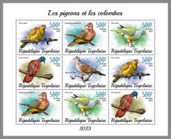 TOGO 2023 MNH Pigeons Doves Tauben M/S – OFFICIAL ISSUE – DHQ2409 - Duiven En Duifachtigen