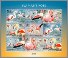 TOGO 2023 MNH African Greater Flamingo Großer Flamingo M/S – OFFICIAL ISSUE – DHQ2409 - Flamingos