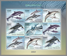 TOGO 2023 MNH Dolphins Delphine M/S – IMPERFORATED – DHQ2409 - Dolphins