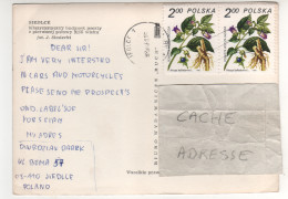 Timbres , Stamps " Plante , Fleur : Atropa Belladonna " Sur CP , Carte , Postcard Du 08/04/81 - Cartas & Documentos