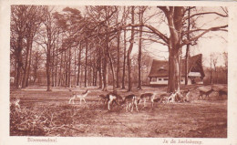 256671Bloemendaal, In De Hertekamp. - Bloemendaal