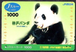 Japan 1V Panda "Hing Hing" Kobe Oji Zoo JRWest Railway Company Used Card - Giungla
