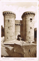 54223. Postal VALENCIA . Vista De Torre De CUARTE - Valencia