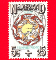 OLANDA  - Usato - 1976 - Salute - Reumatologia - 50° Anniversario Dell'Associazione Olandese Per I Reumatismi - 55+25 - Used Stamps