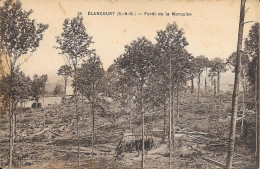 78 ÉLANCOURT Forêt De La Marquise - Elancourt